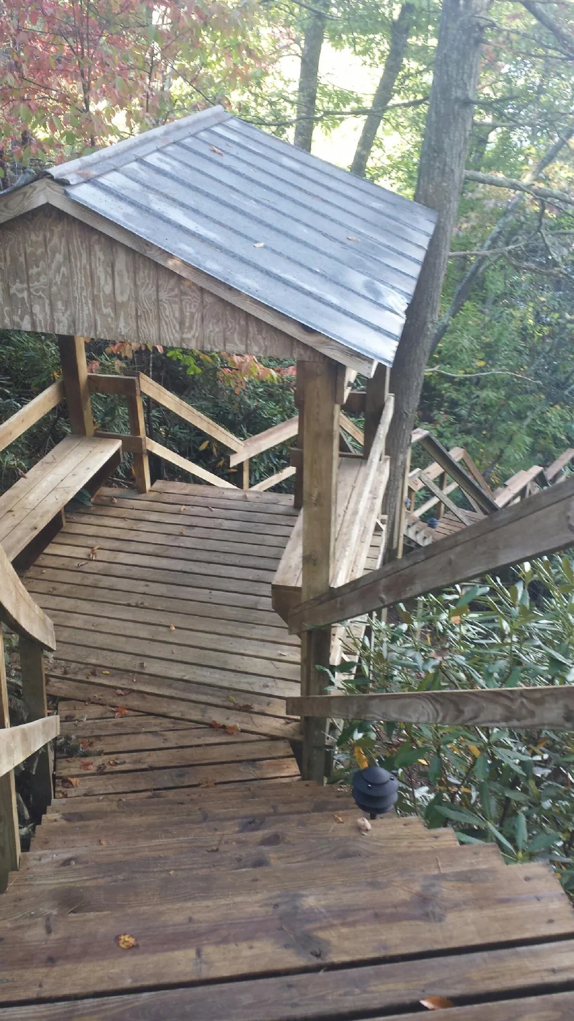Metal roofed shelter over wooden steps on a wooded walkway — Skylight Repair & Installation work by our crew in Myrtle Point
